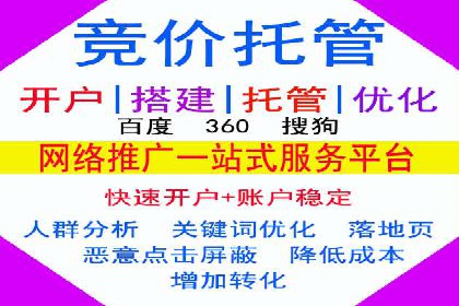 SEM专员的角色与成功案例解析